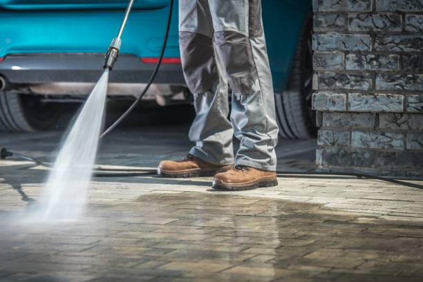Best Warehouse Cleaning  in Morenci, MI