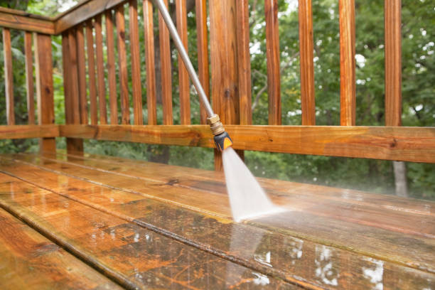 Best Animal Enclosure Cleaning  in Morenci, MI